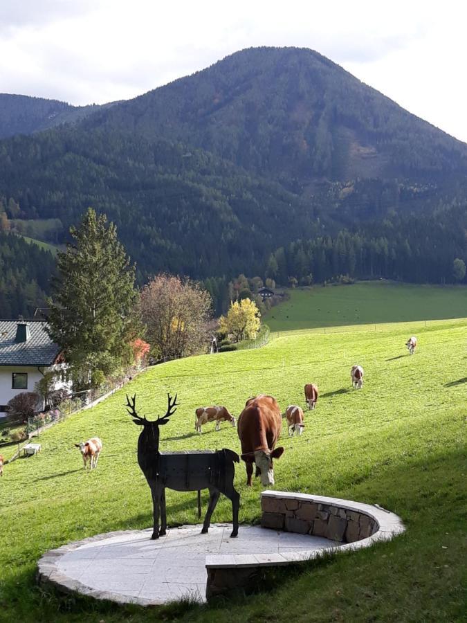 Chalet Weiberle Hochschwab Etmissl Ngoại thất bức ảnh