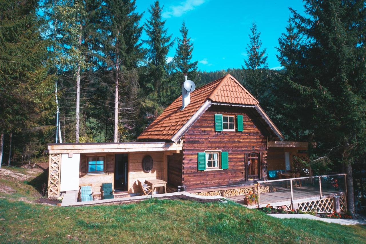 Chalet Weiberle Hochschwab Etmissl Ngoại thất bức ảnh